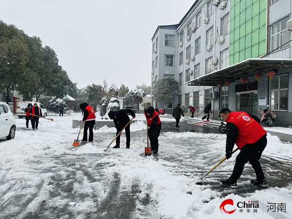 ​西平县嫘祖镇：除雪保畅在行动