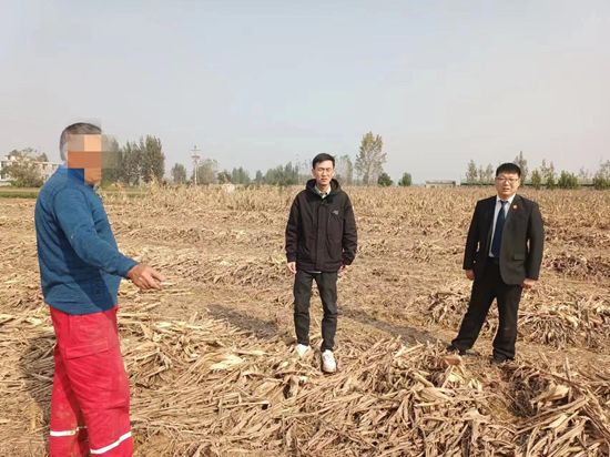 新野县法院实地勘察释法说理 诉前巧解农民纠纷
